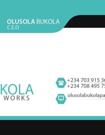 Olubukola Professional Plumbing WORKS 