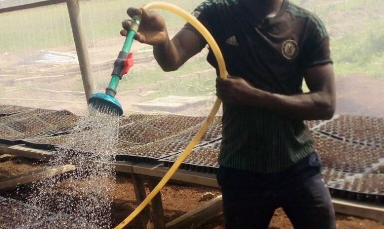 Omotayour Plumbing Service
