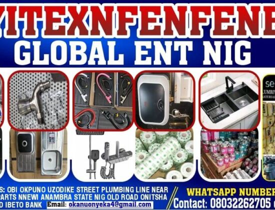 Onyitxnfenfenefe Global Enterprise Limited