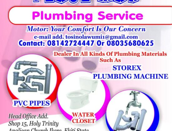 Peace Man Plumbing Services 