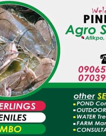 Pinnacle AGRO Services