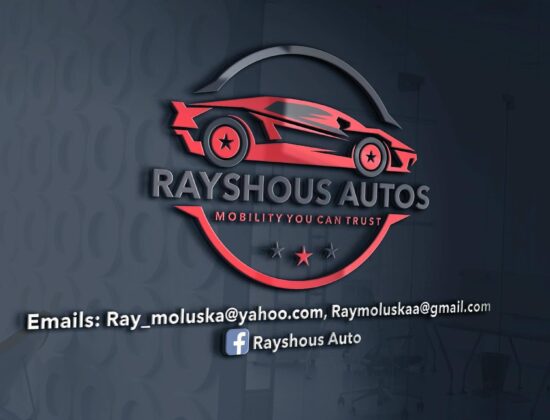 Rayshous Auto