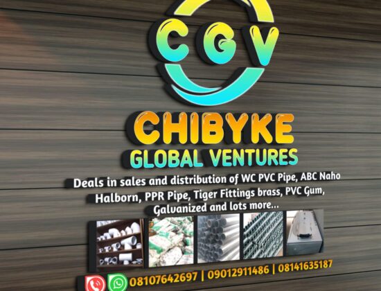 S & J Chibyke Global Services