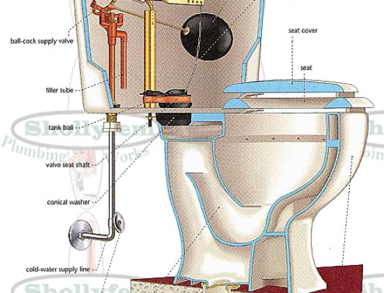 Shollyfem Plumbing Works 