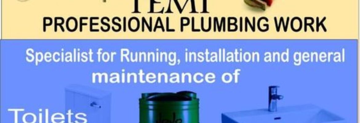 Temi Professional Plumbing Work