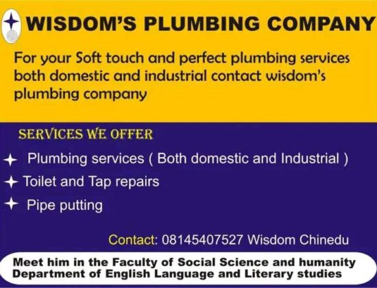 Wisdom Plumbing Company