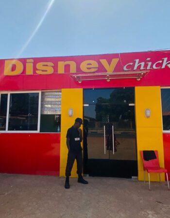 Disney Chicken Kaduna