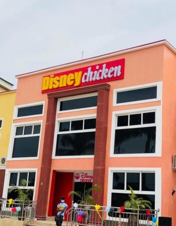 Disney Chicken Kaduna