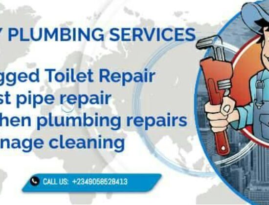 HolyBoy Plumbing Services 