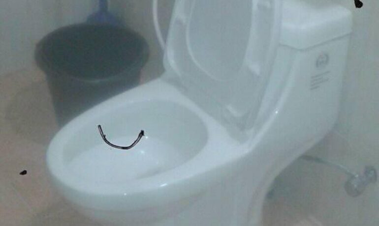 NEW AGE PLUMBING GROUP