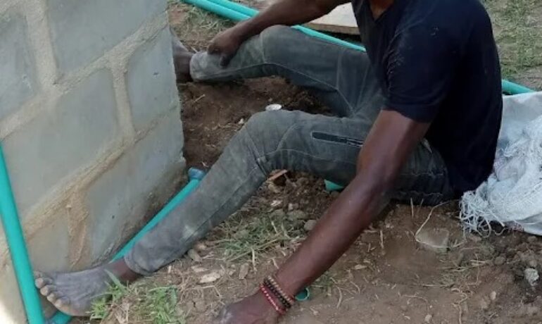 Alex O.Vision Ventures