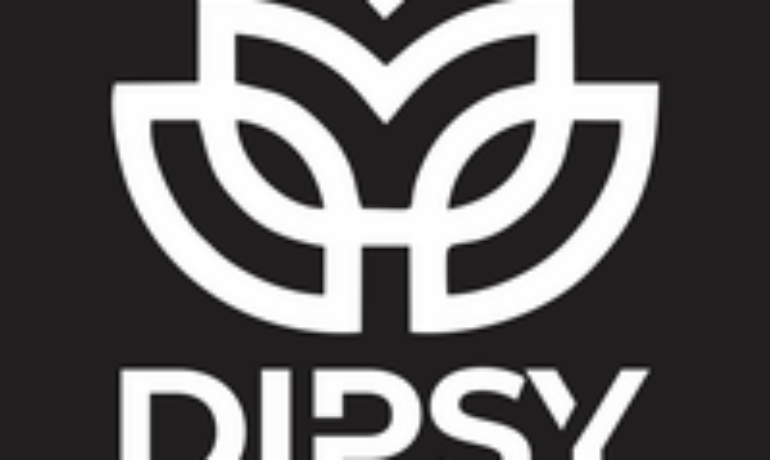 Dipsy Fiberglass Manufacturing Limited