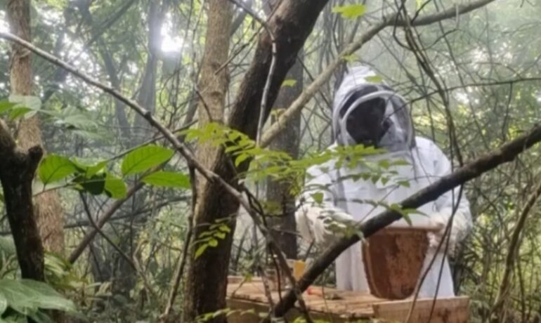 Razzaq Olatunji Makinde Honey Production