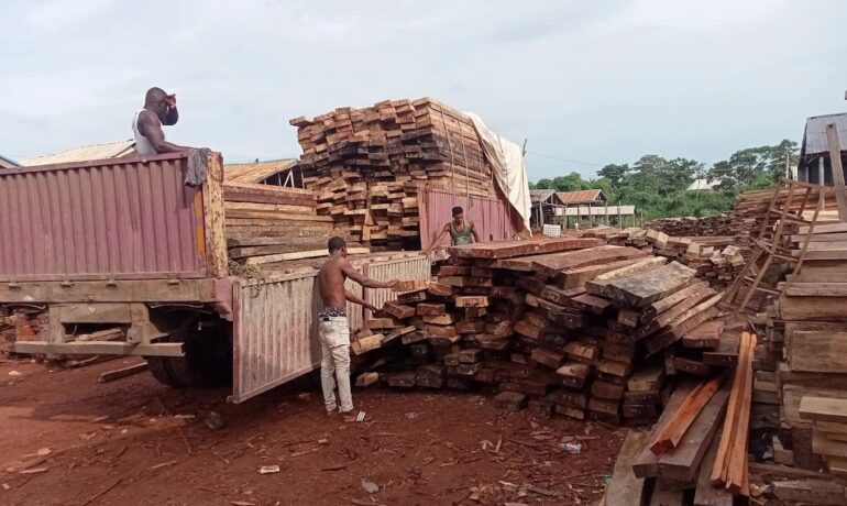Uche-Ekpo Timber Concept