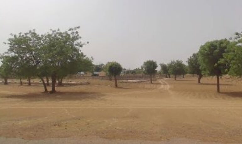 Usman Carpenter