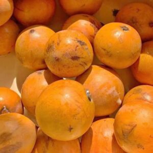 Udara (Agbalumo)