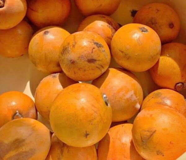 Udara (Agbalumo)