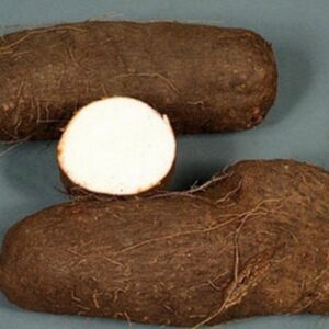 Water Yams PER TUBER