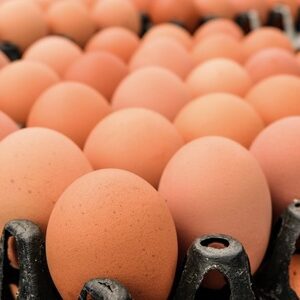 Fresh Farm Eggs (JUMBO SIZE) Per Crate
