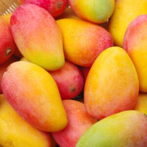 Big Mangoes PER ONE