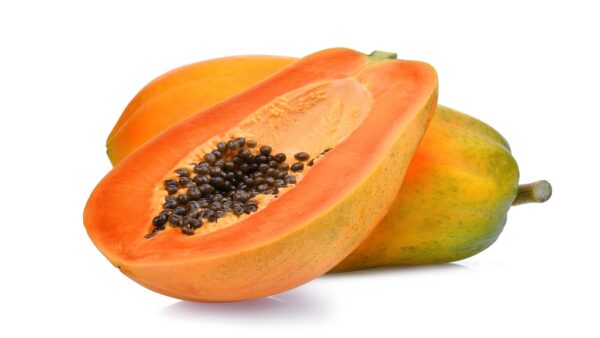 Large Pawpaws PER ONE