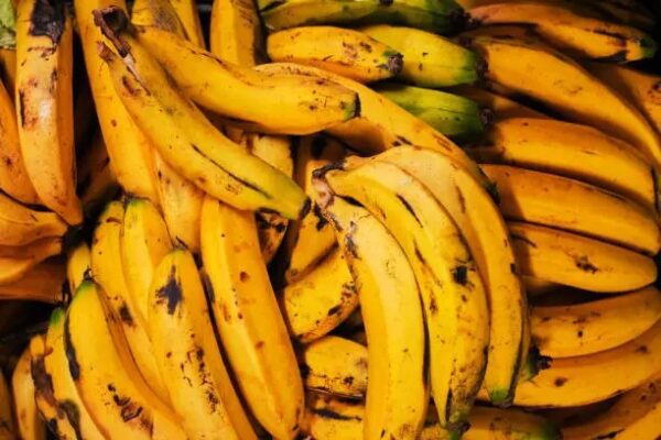 Ripe Plantain PER FINGER - LARGE BUNCHES AVAILABLE