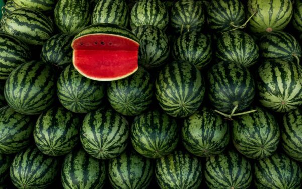Big Watermelons PER ONE