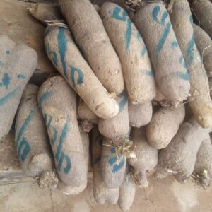Fresh Benue Yam PER TUBER (Large Size)