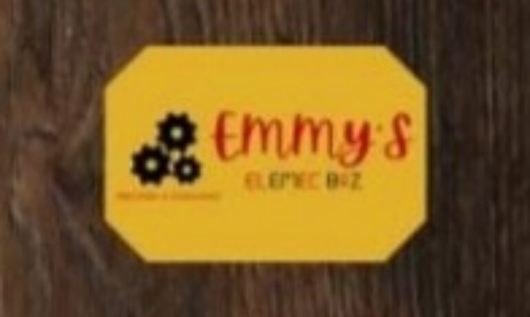 Emmy’s Elemech Biz
