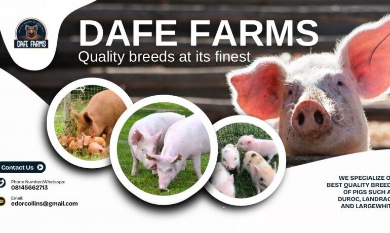 Dafe Farms