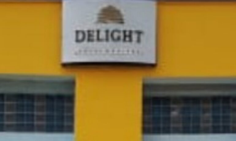 Delight Hotel and Suites