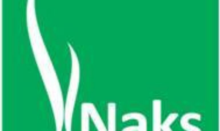 Naks Hotels & Towers