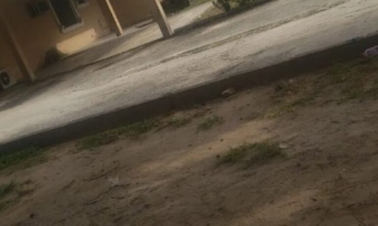 Oil City Motel Ughelli