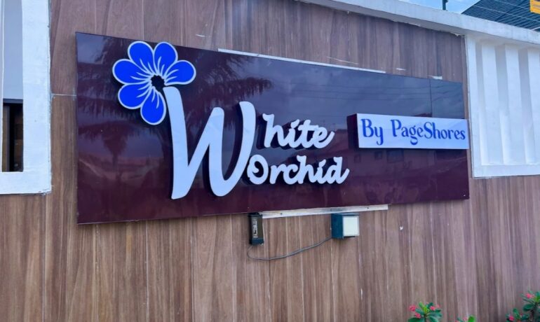 White Orchid by PageShores