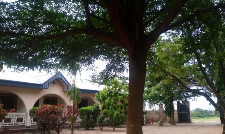 Willie Guest House