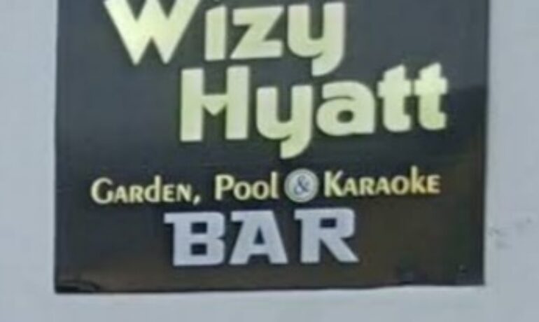 Wizy Hyatt Hotel