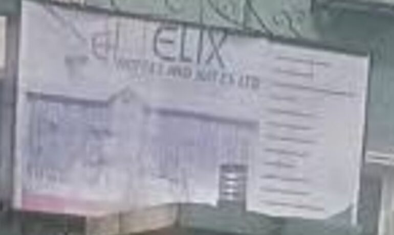 Elix Hotels And Suites Limited