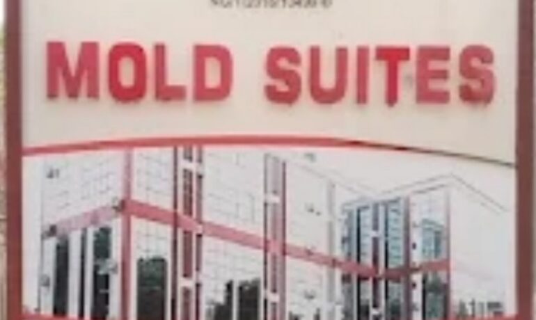 Mold Suites