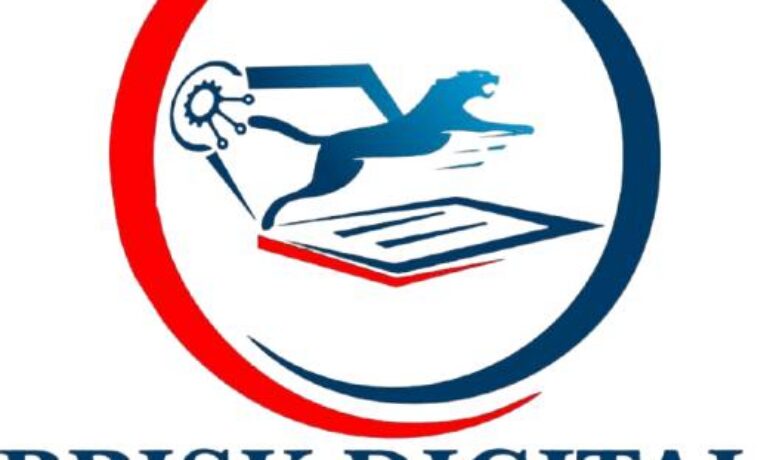 BRISK DIGITAL SOLUTIONS