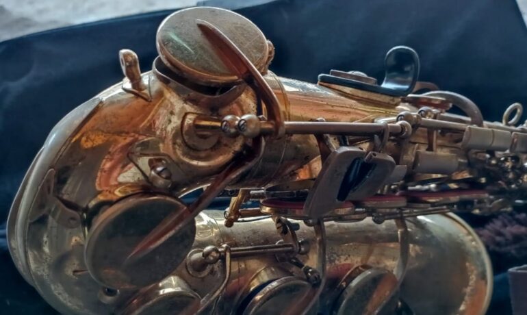 Davin Musical Instrument Clinic