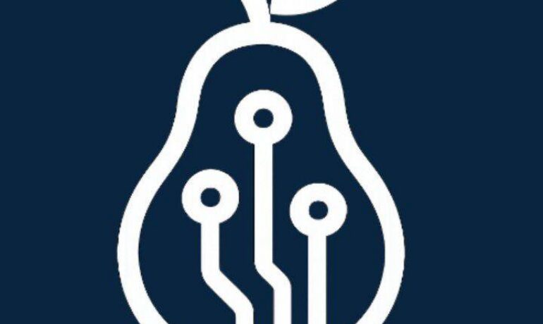 PEAREDGE TECHNOLOGIES